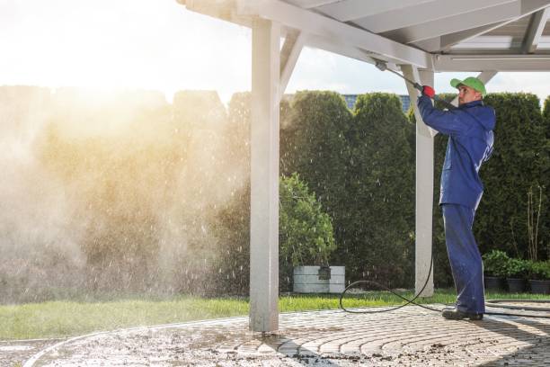 Best Spring Cleaning  in Chesaning, MI